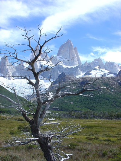 Feuerland und Patagonien 2005